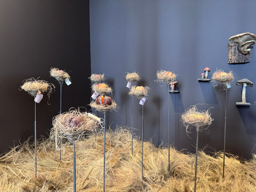 GöttwAIg - EXKURS: Wunderkammer George Loudon Collection VENEDIG