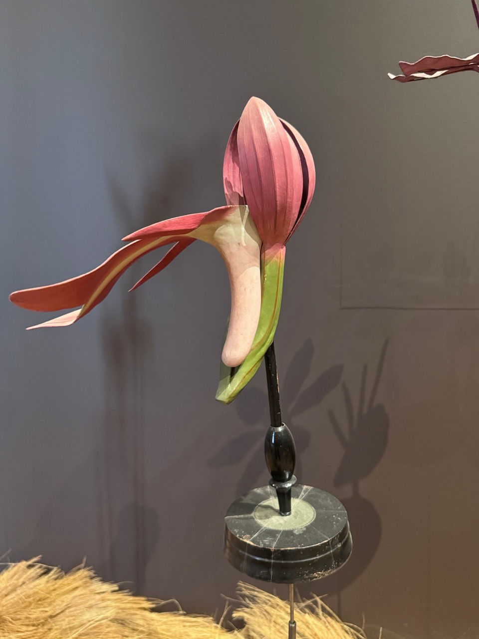 GöttwAIg - EXKURS: Wunderkammer George Loudon Collection VENEDIG