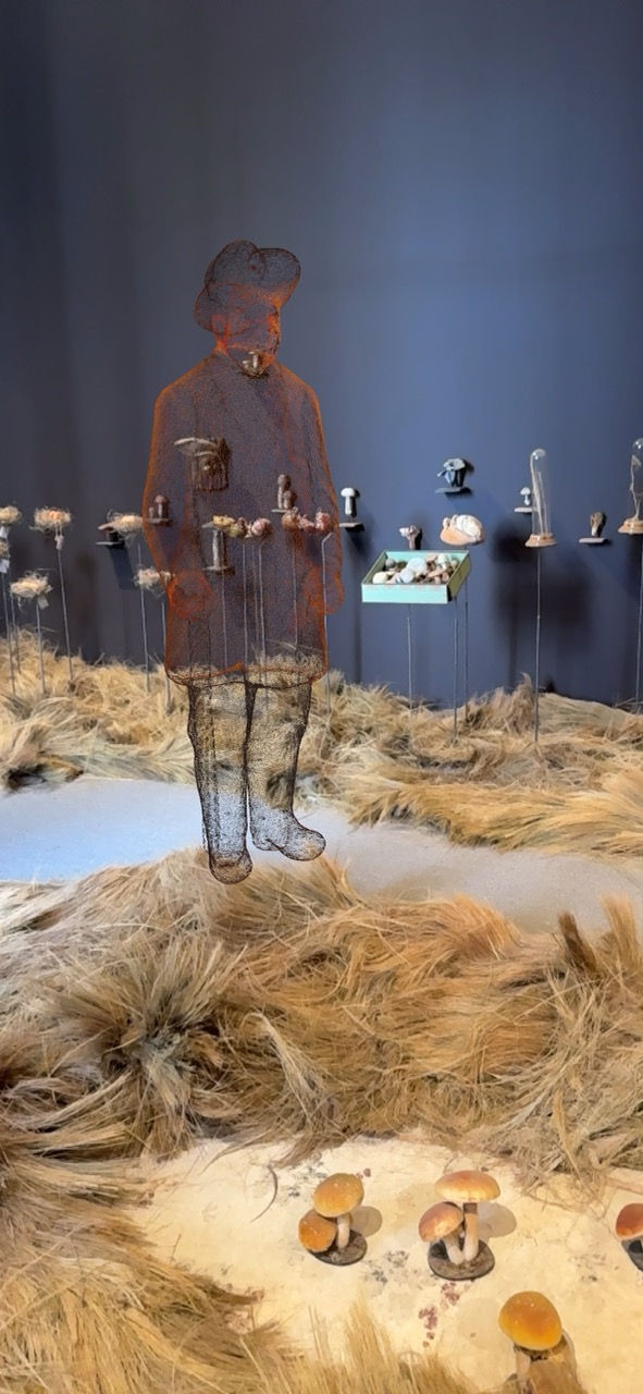 GöttwAIg - EXKURS: Wunderkammer George Loudon Collection VENEDIG