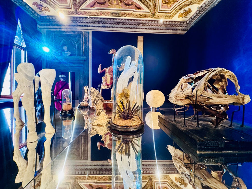 GöttwAIg - EXKURS: Wunderkammer George Loudon Collection VENEDIG