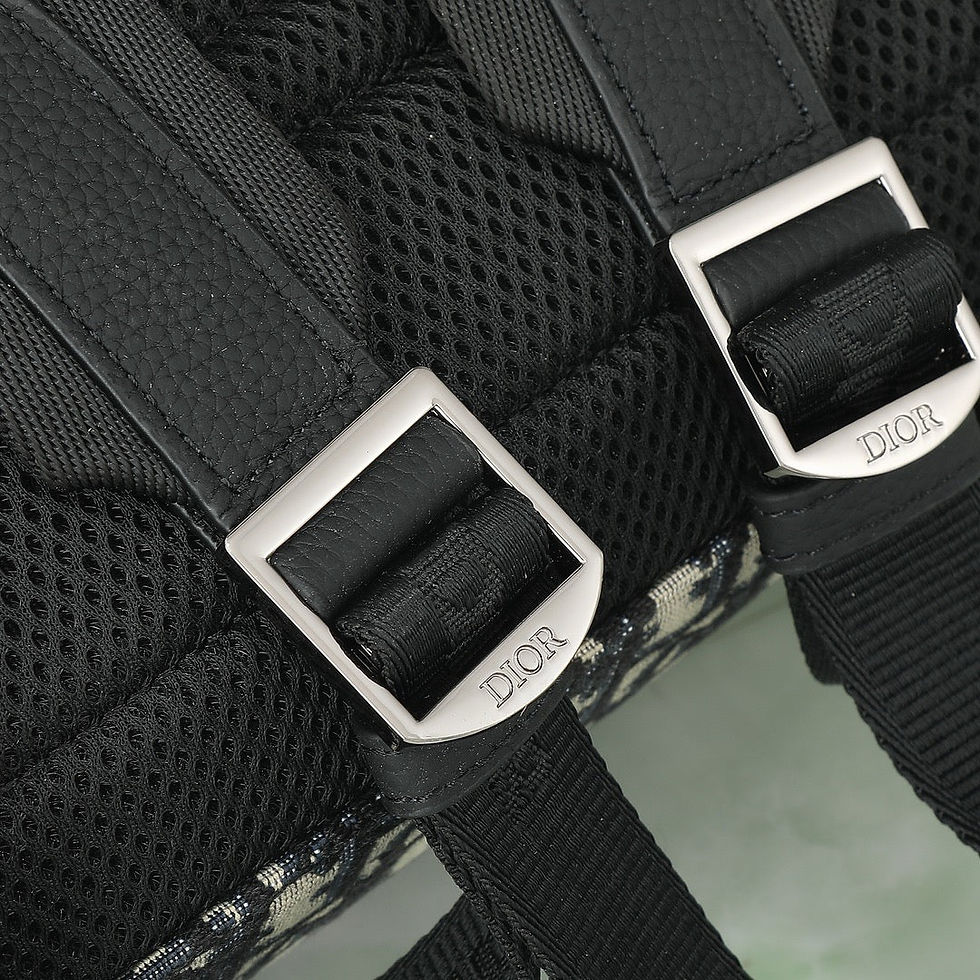 Thumbnail: Cd Oblique Backpack 2