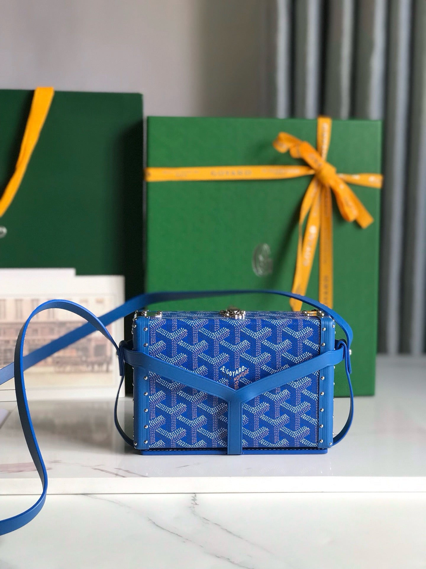 Goyard Minaudiere 17X11
