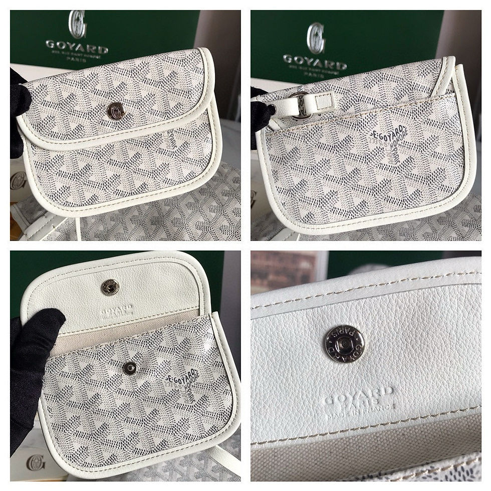 Thumbnail: Goyard BAG 20*19*10