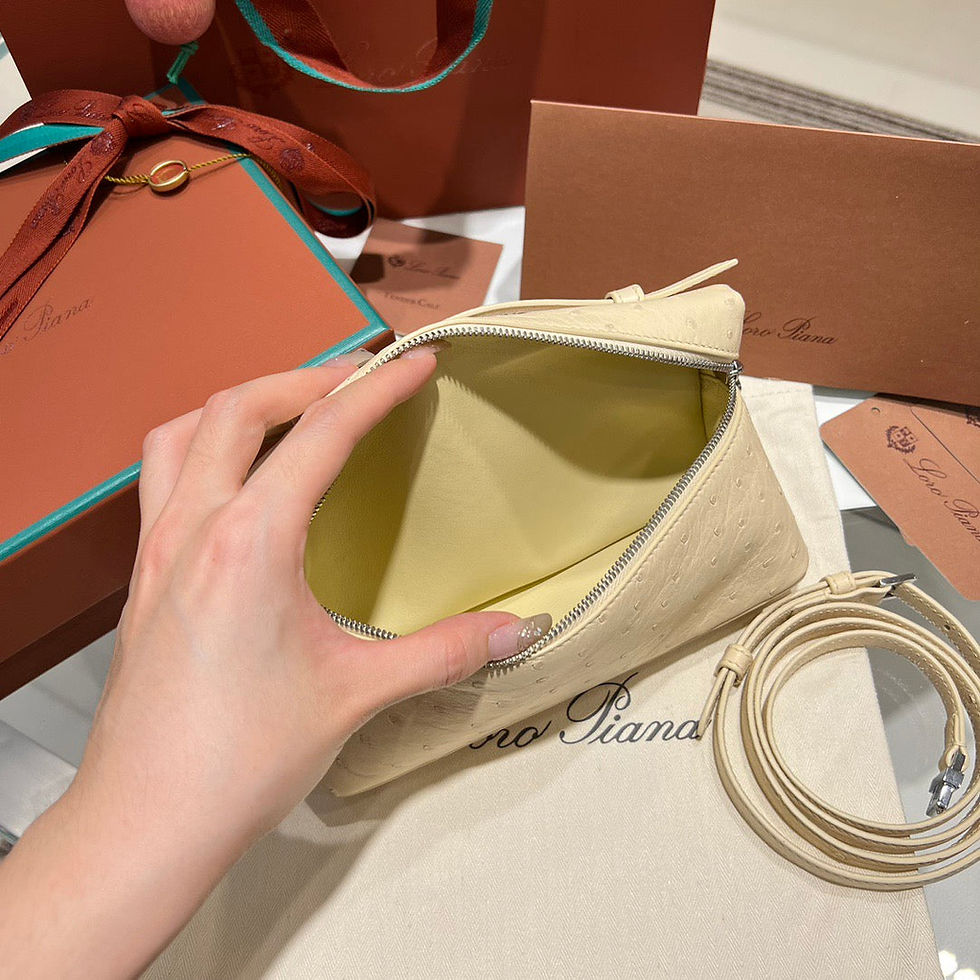 Thumbnail: Loro Piana Lp Extra Pocket L19 Ostrich Leather Bag