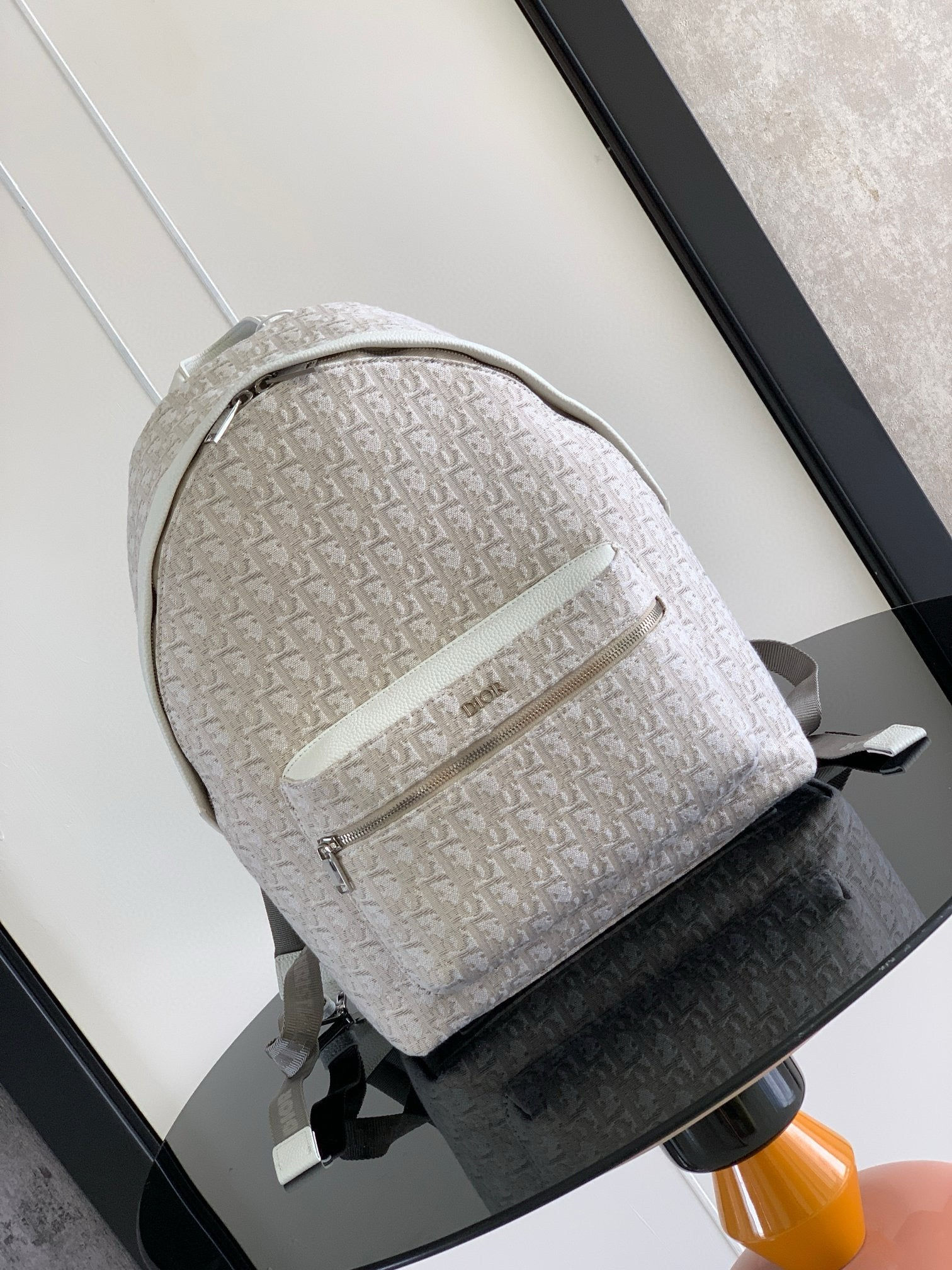 Dior Backpack 25