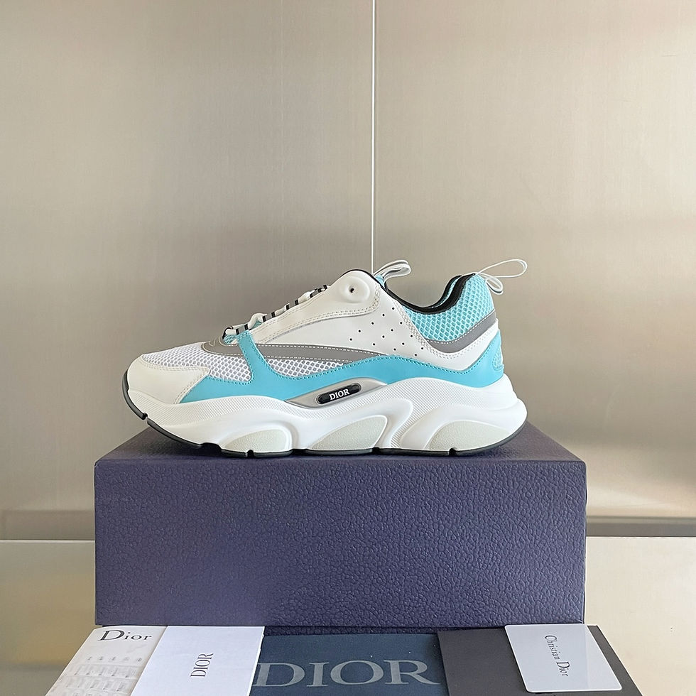 Thumbnail: Dior B22