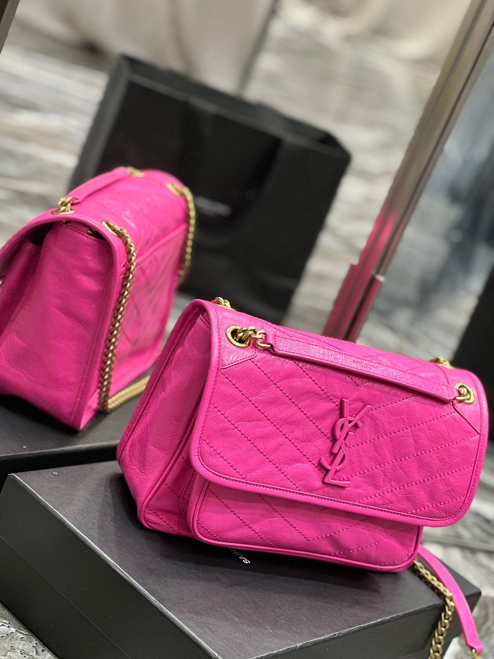 Thumbnail: Ysl Niki 254