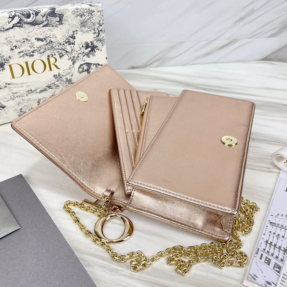 Thumbnail: Dior Woc 17