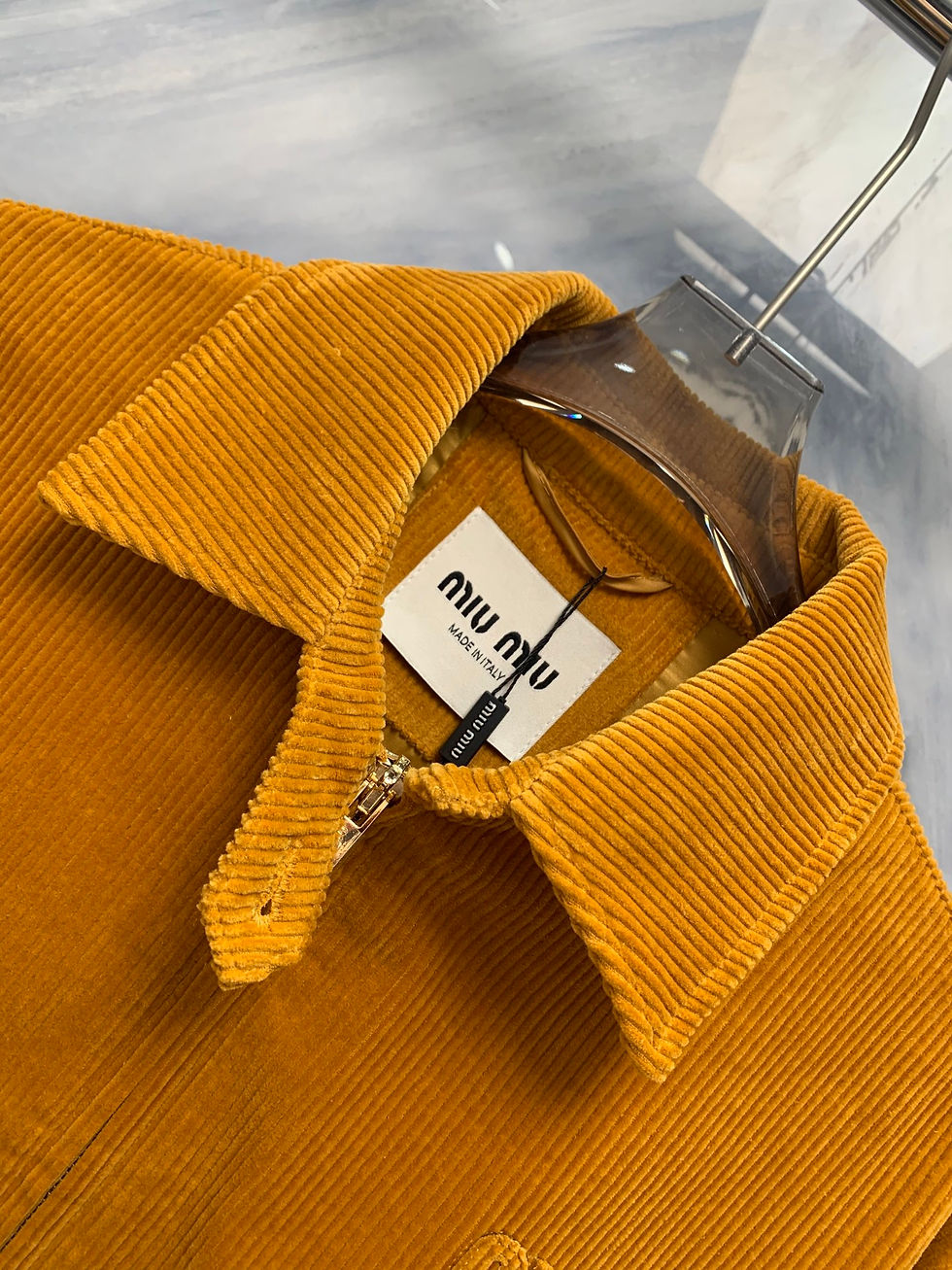 Thumbnail: Miu Miu Jacket