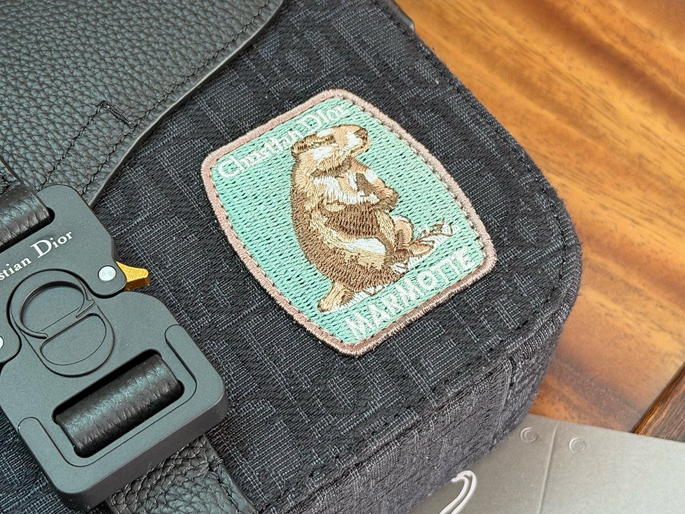 Thumbnail: Dior Messenger Bag 41
