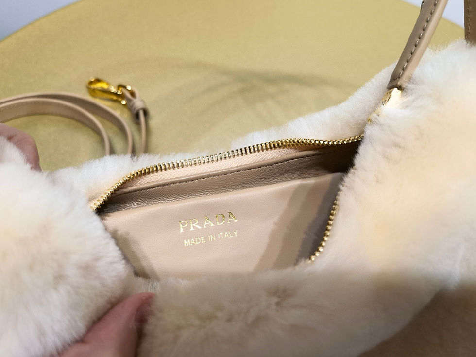 Thumbnail: Prada Moon Bag