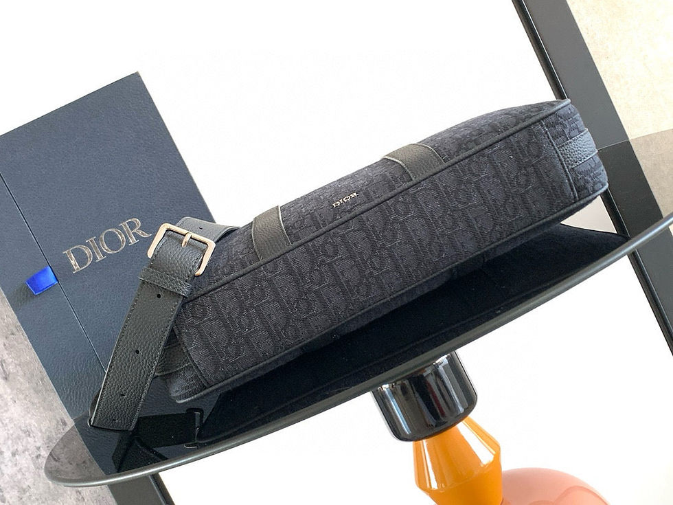 Thumbnail: Dior Briefcase