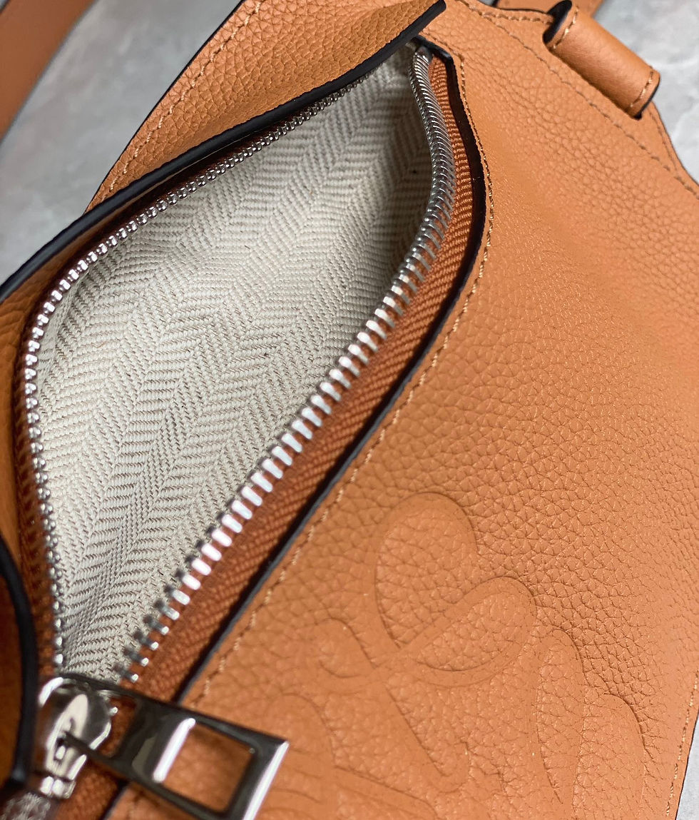 Thumbnail: Loewe Sling Bag