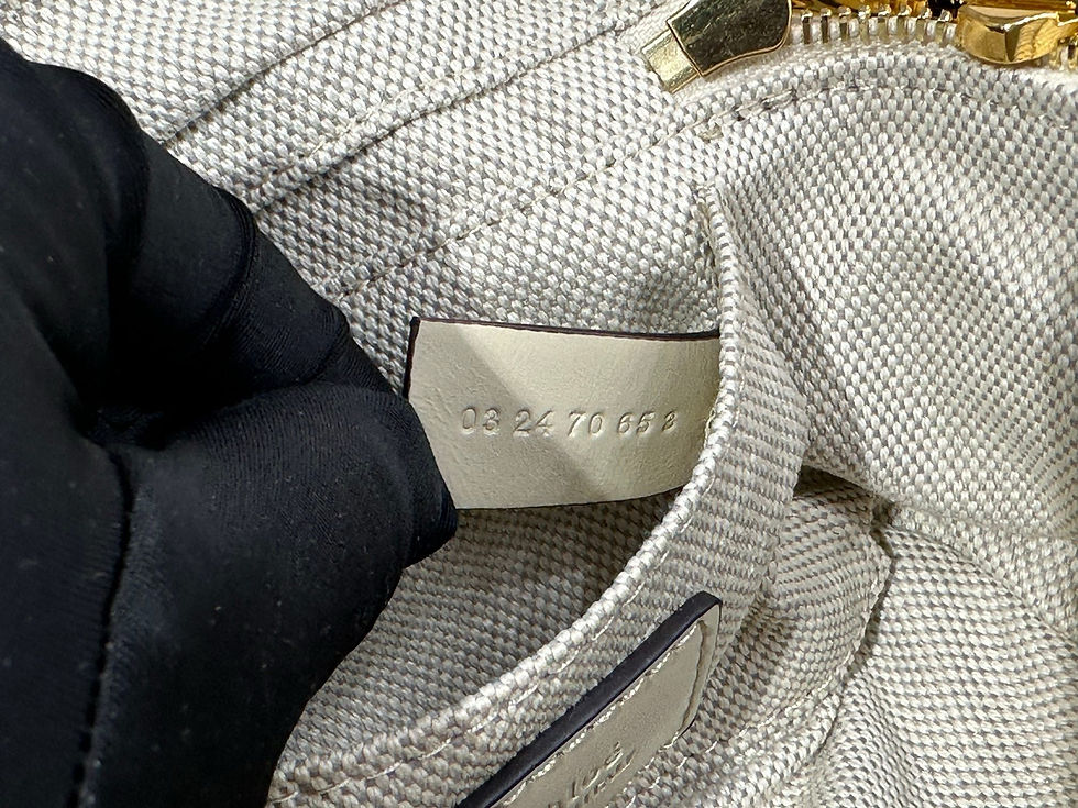 Thumbnail: Chloe Camera Bag
