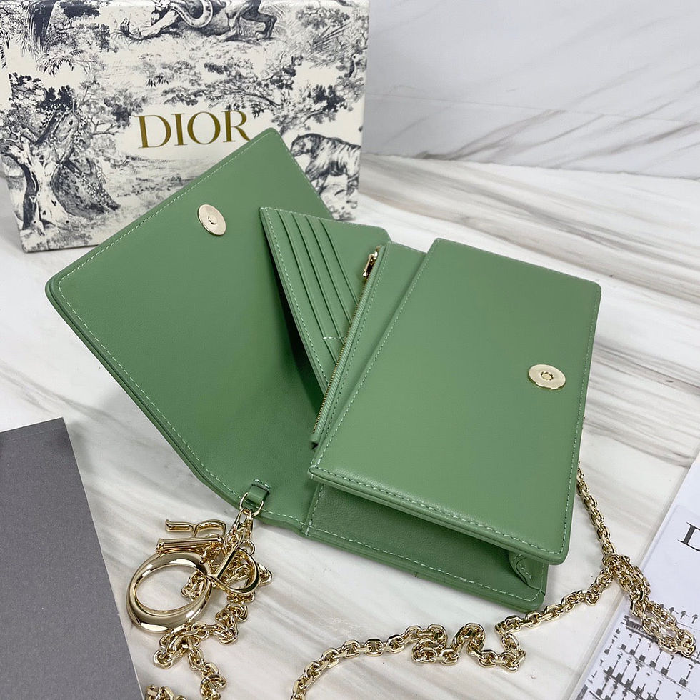 Thumbnail: Dior Woc 2