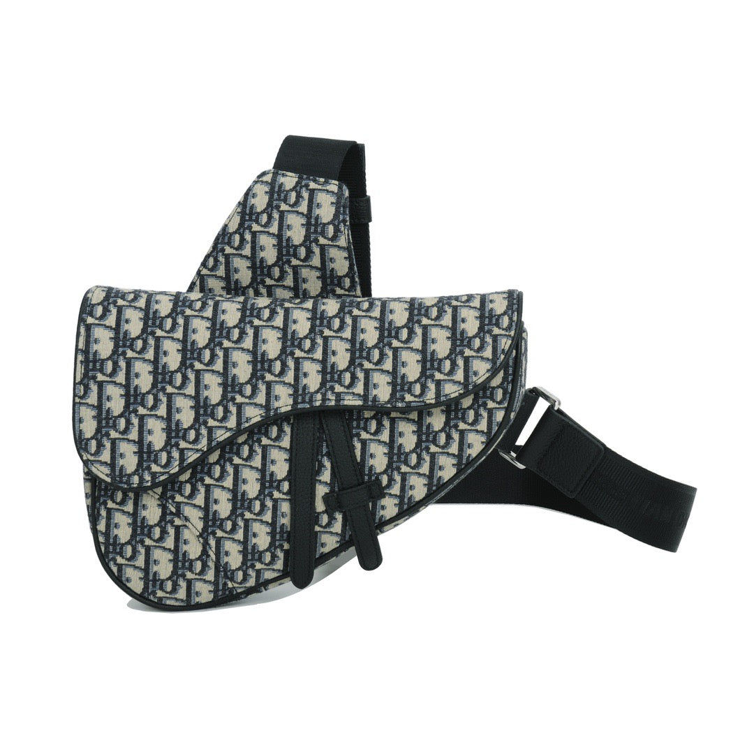 Dior Saddle Bag 6