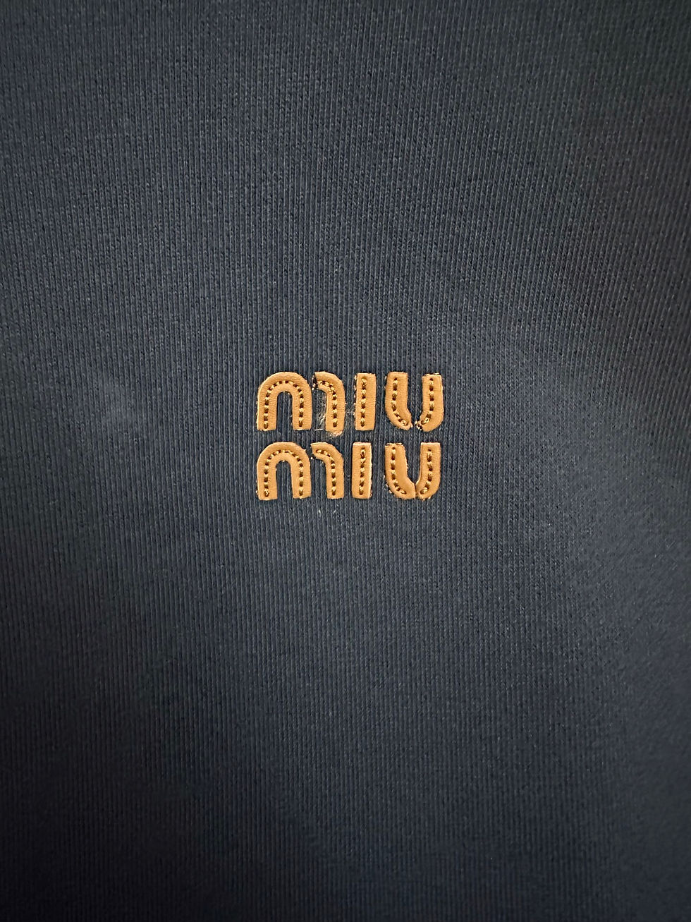 Thumbnail: Miu Miu Jacket