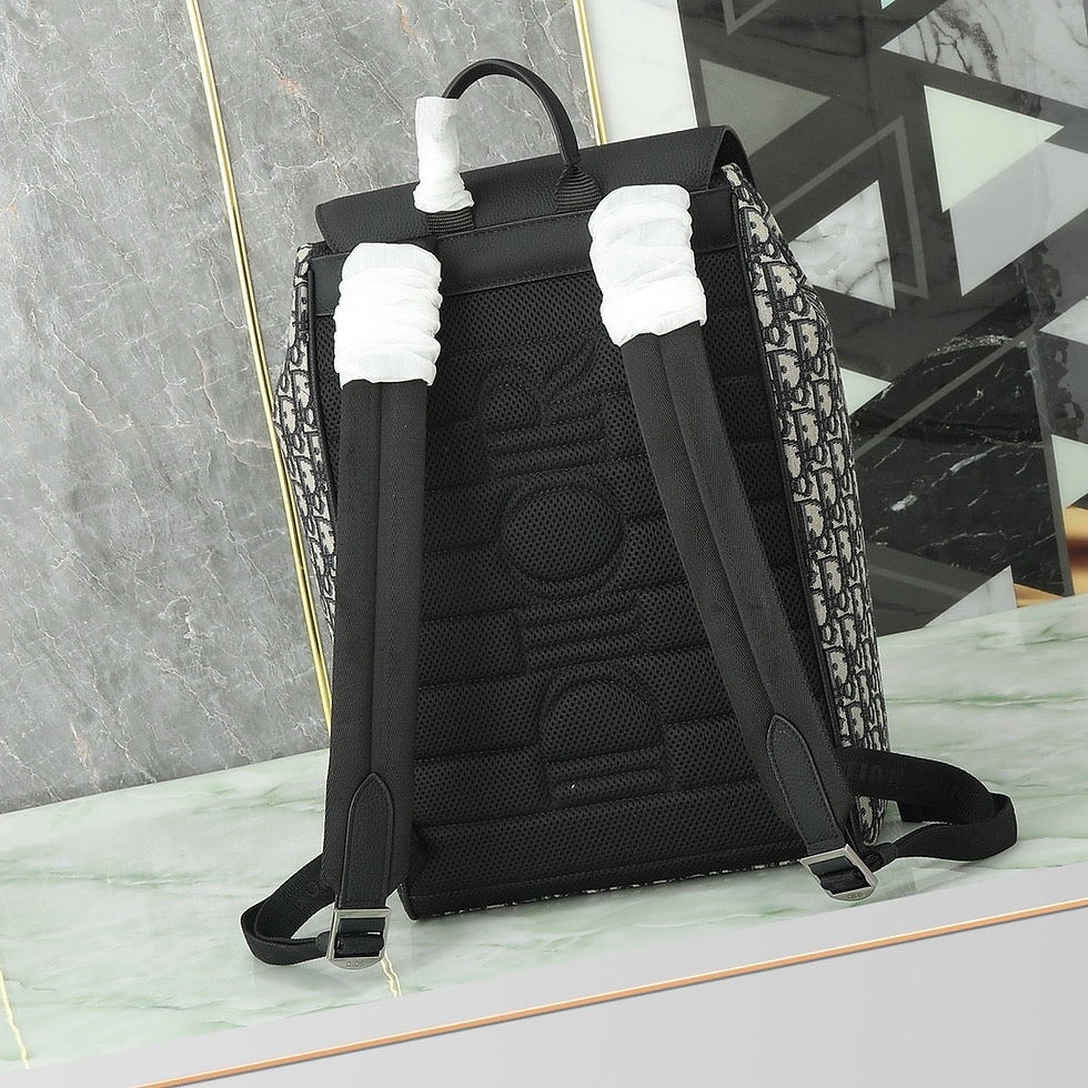 Thumbnail: Cd Oblique Backpack 2