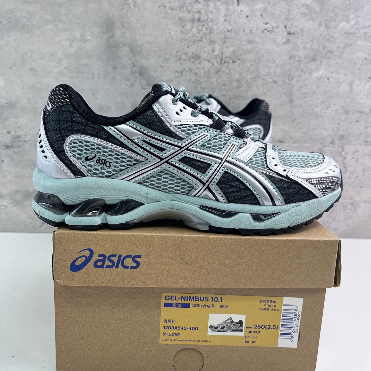 Asics Gel Nimbus 10.1