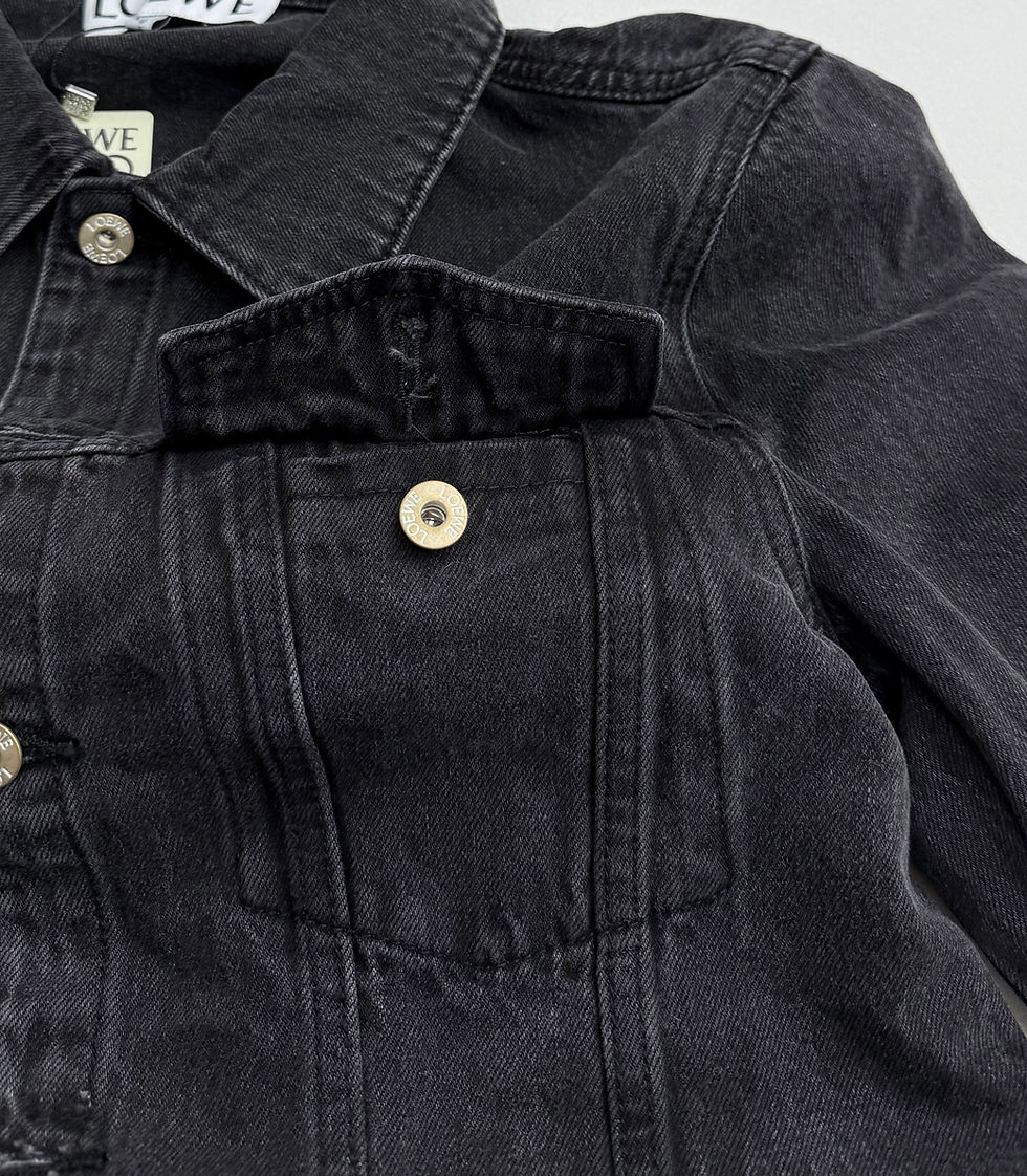Thumbnail: Loewe Jacket