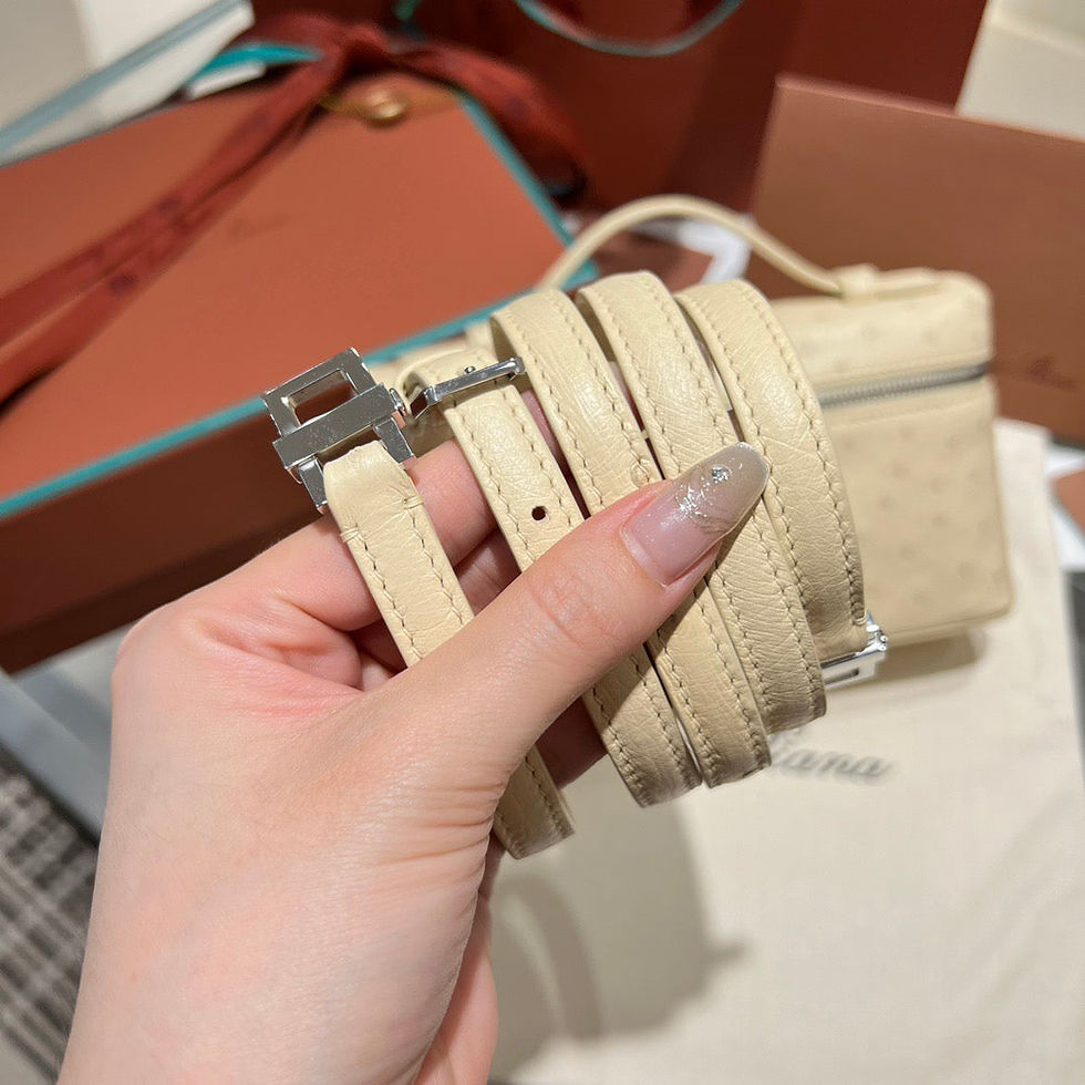 Thumbnail: Loro Piana Lp Extra Pocket L19 Ostrich Leather Bag