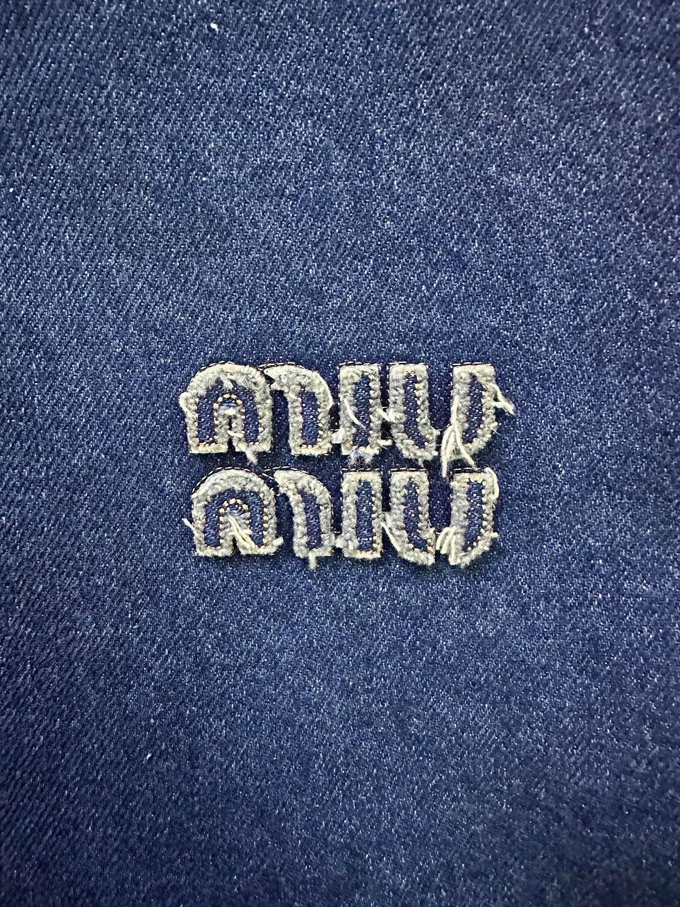 Thumbnail: Miu Miu Jacket
