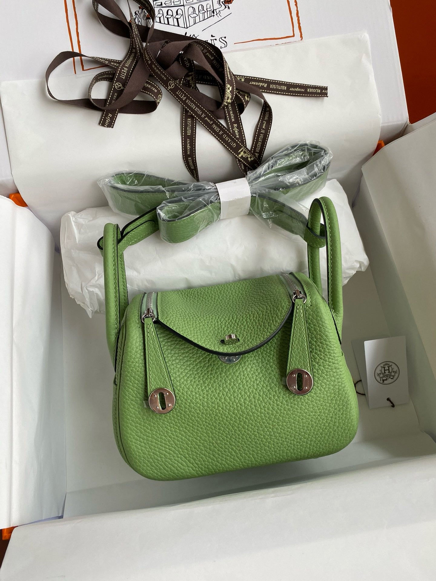 Hermes Mini Lindy 3I Tc Skin