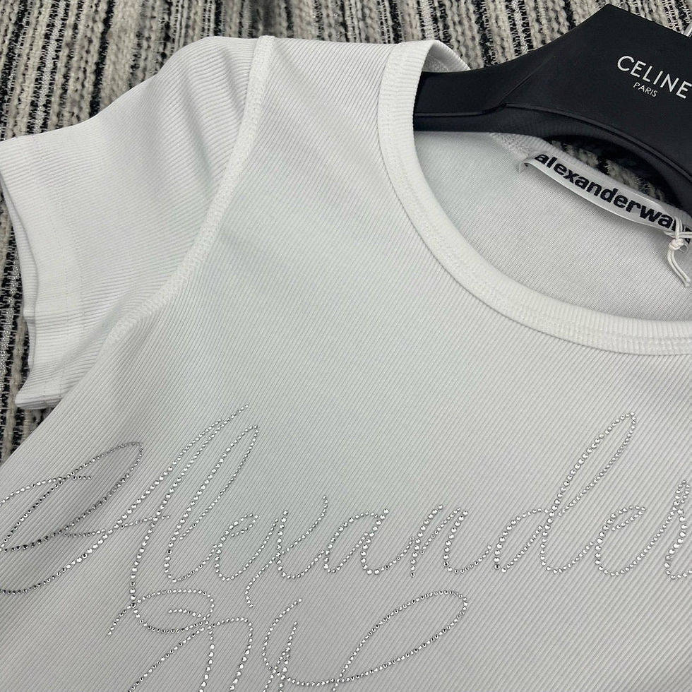 Thumbnail: Alexander Wang T-Shirt