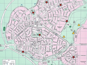 A Note for Dog Owners: Keeping Poundbury Clean and Considerate