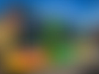 I LOVE Public Transport (but wrap up warm)!