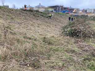 Transforming Poundbury's Peninsula Way Bank: A Community Vision Takes Shape