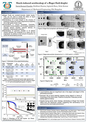 P_24_Poster_Navin_2_page-0001 (1) (1) (1).jpg