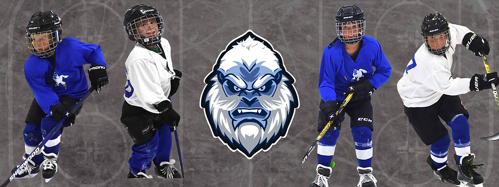 Copy of youth hockey banner (2).png