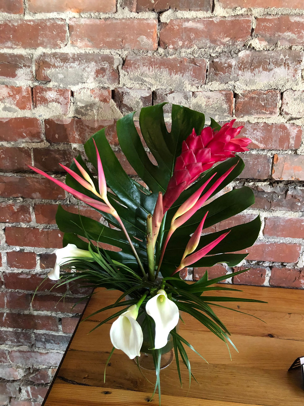 Tropical Vibe ~ The Cypress Collection