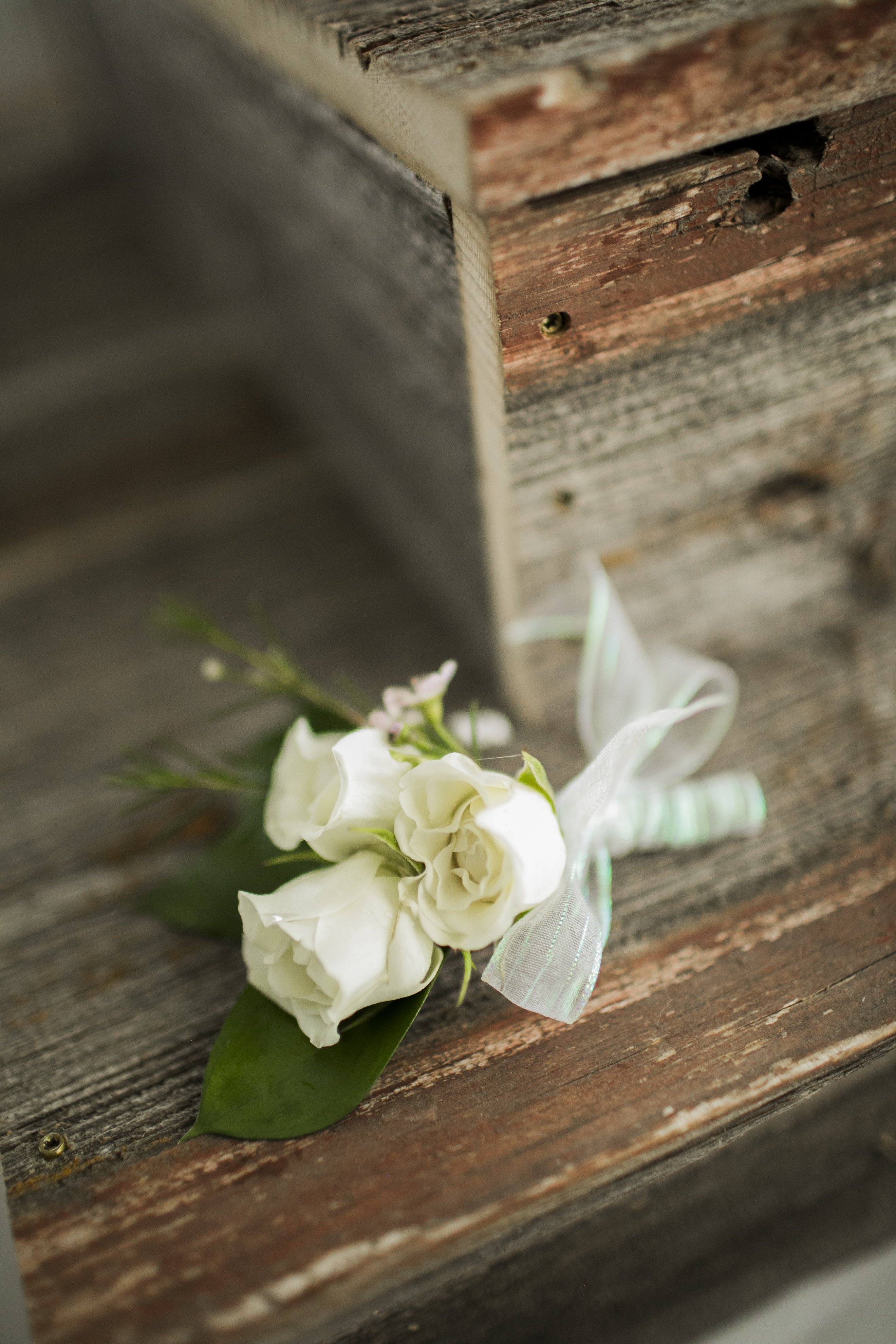 Tildy Floral Designs