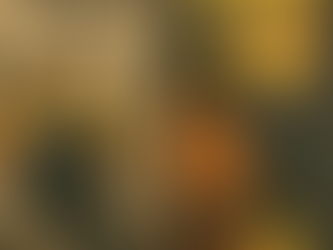 Insalubridade e Periculosidade: Entenda a Diferença e Saiba o que Você Pode Receber