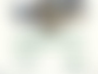 Costi e Orari Castello dal Verme stagione invernale 2025