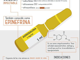Serie Infografías: Adrenalina