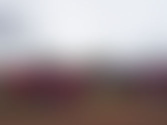 Retour en images sur le Camp Biblique 2025 des Jeunes Filles de l'AES : Foi, Droits et Avenir !