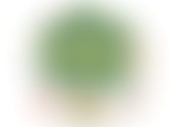 中山中央町内会