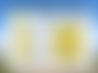 2026年2月営業カレンダー