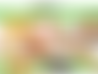 2月23日(祝・月)も開場します!