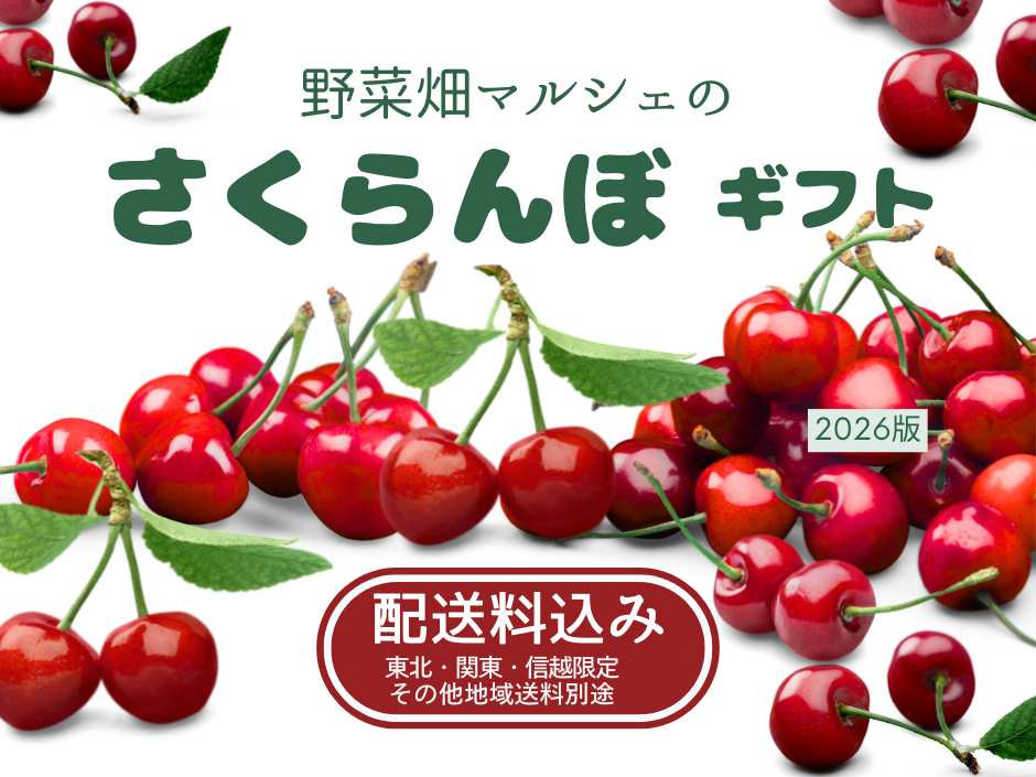 2026年】初夏の宝石。野菜畑マルシェの「さくらんぼギフト」受付スタート！