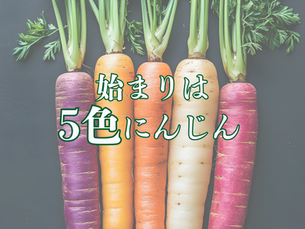 始まりは5色のカラーにんじん