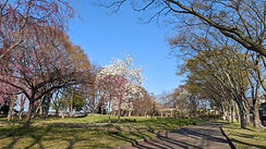 PXL_20230403_064340488.jpg