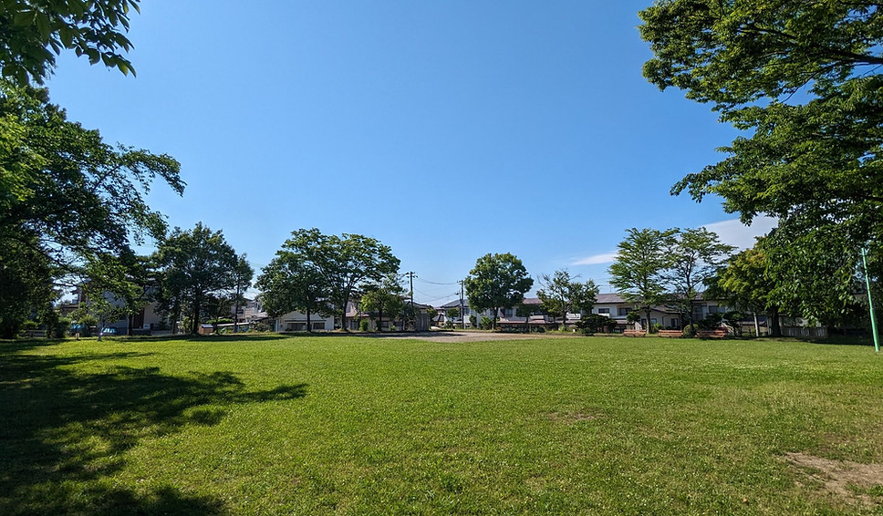 PXL_20230620_061021653.jpg