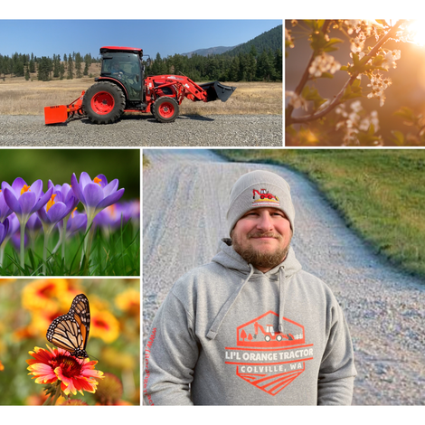 Custom Spring Image for Website