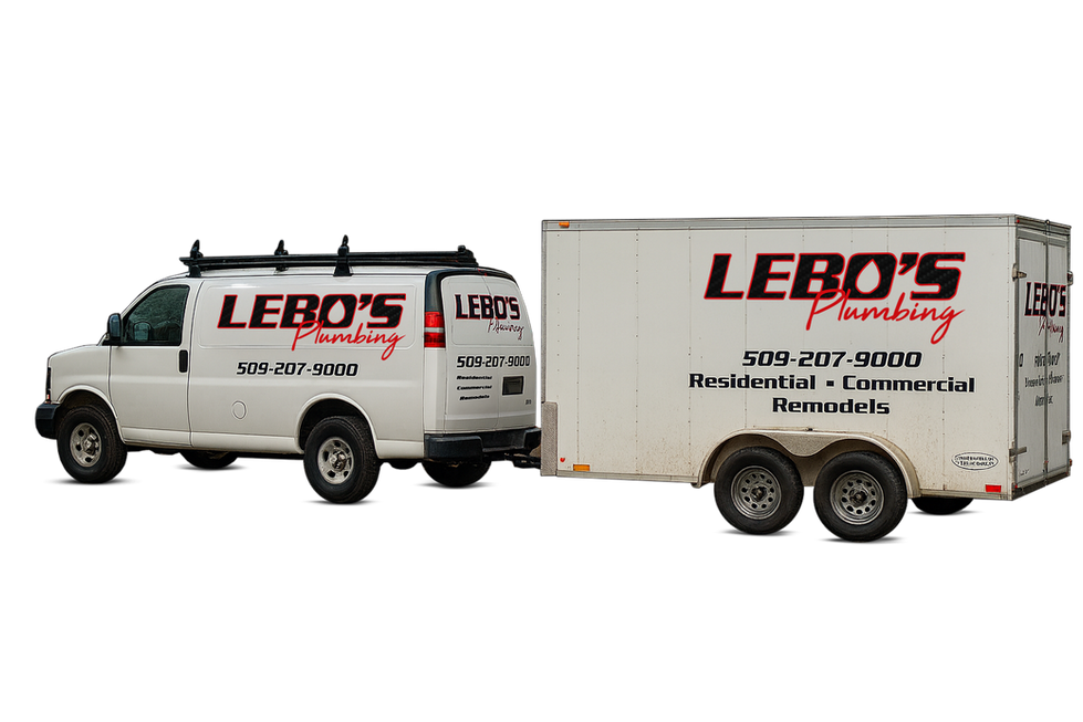 Lebo's Van Transparent