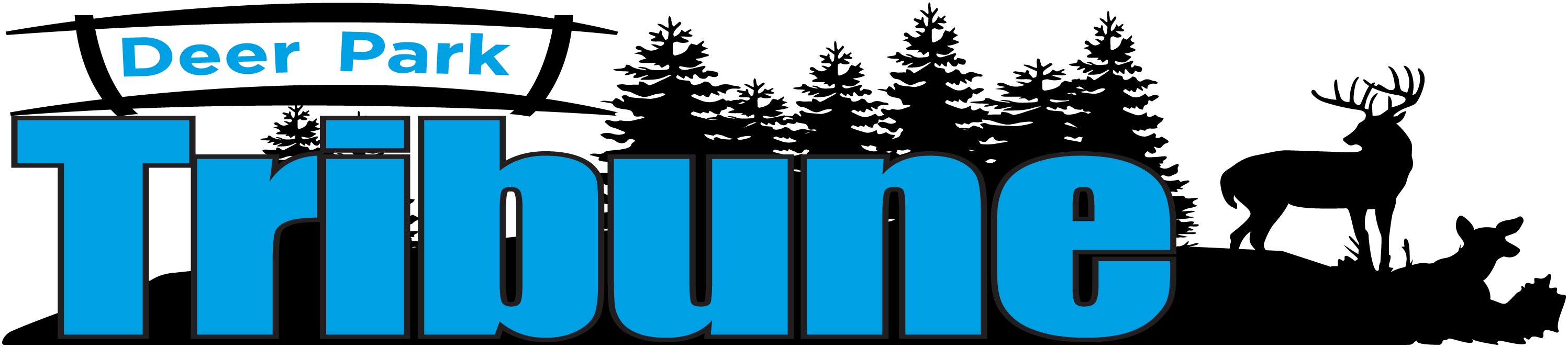 DP_logo_12-2024_Blue.png