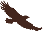 Eagle | Utah Wildlife Federation